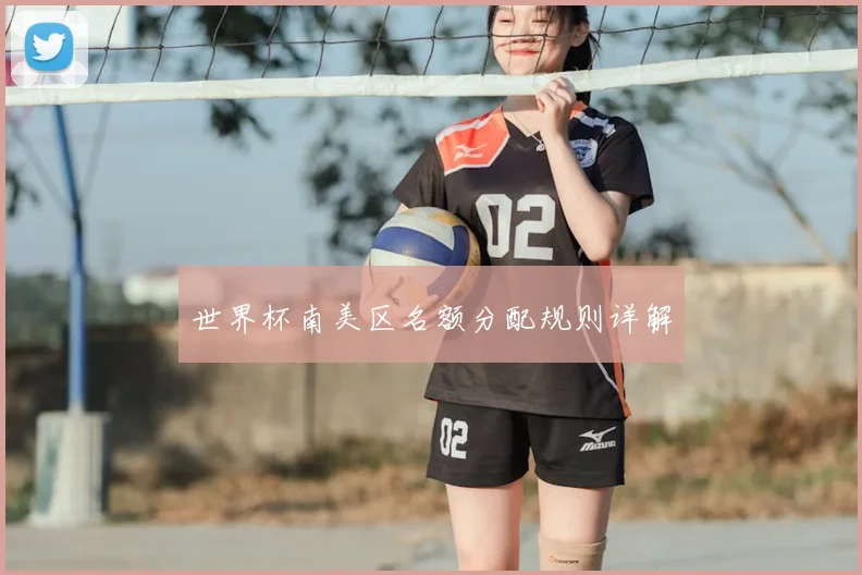 世界杯南美区名额分配规则详解