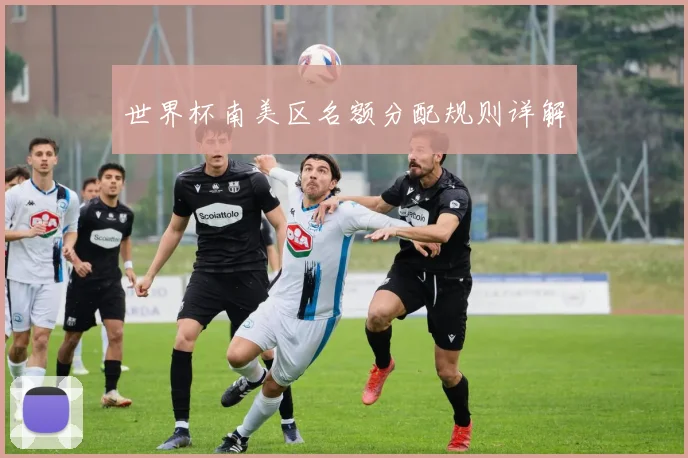 世界杯南美区名额分配规则详解